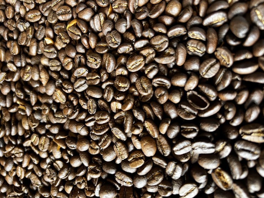Close-up of freshly roasted coffee beans