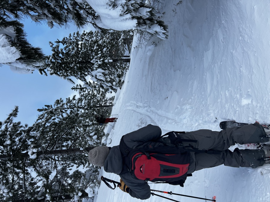 Skinning up a snow track through snow-laden Sierra pines, a skier ahead on the skin track