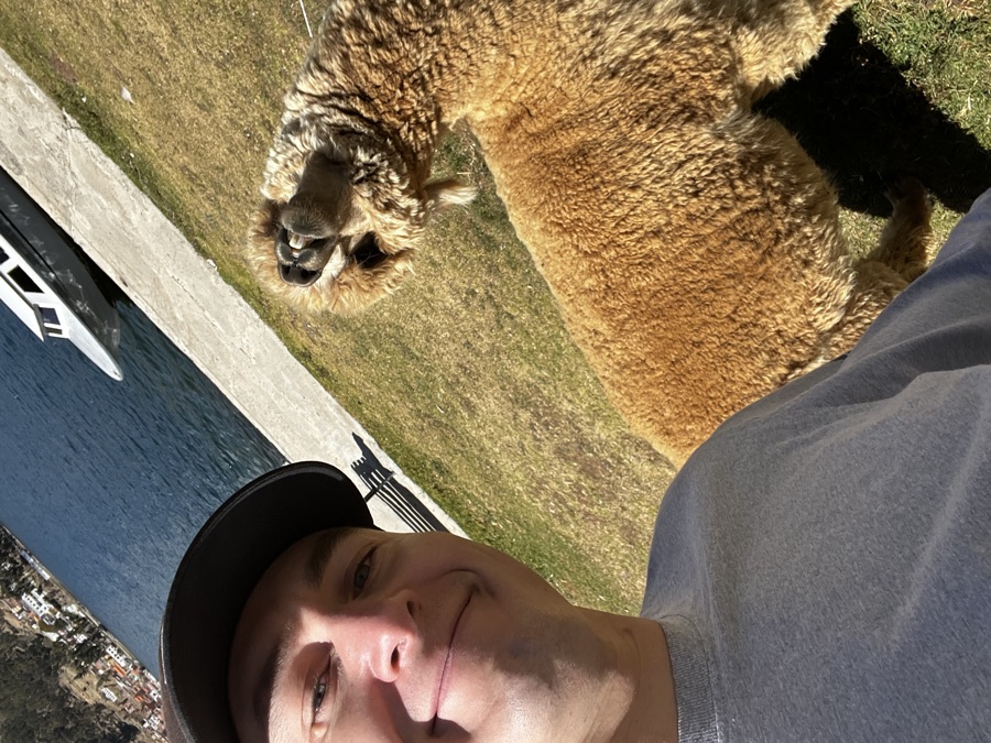 Selfie with an alpaca on the shore of Lake Titicaca